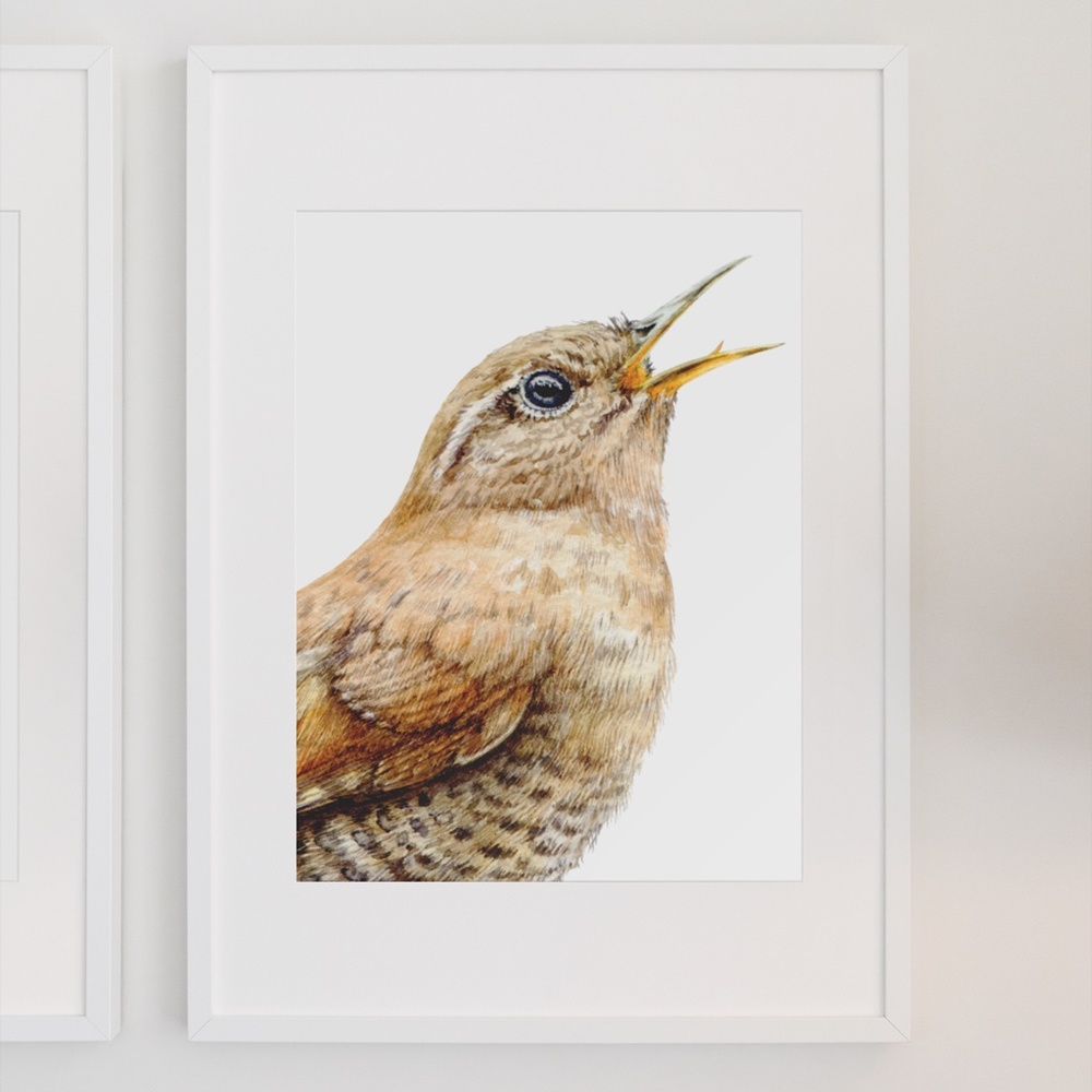 Watercolor Wall Art Wren Bird Illustration Print Poster Unframed - Picture 3 of 9
